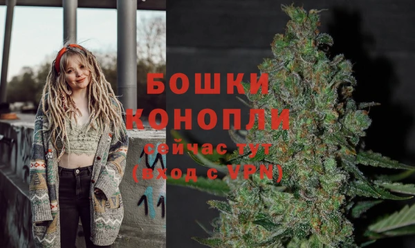 2c-b Заводоуковск
