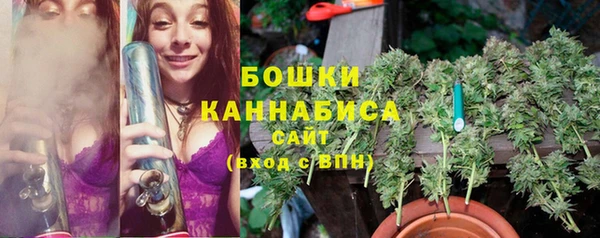 2c-b Заводоуковск