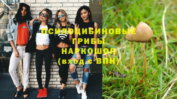apvp Заволжск
